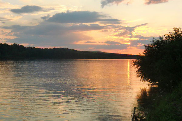 Анжелика Захарова