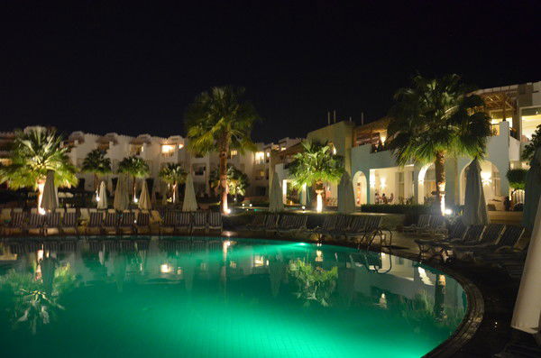 Надежда Финика