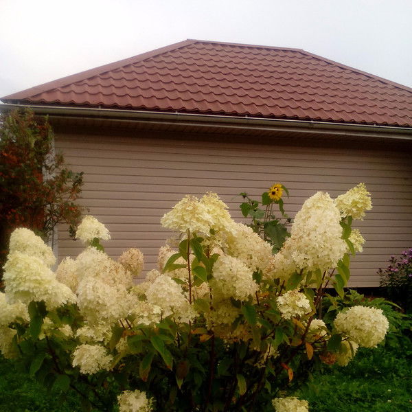 Ирина Тишина