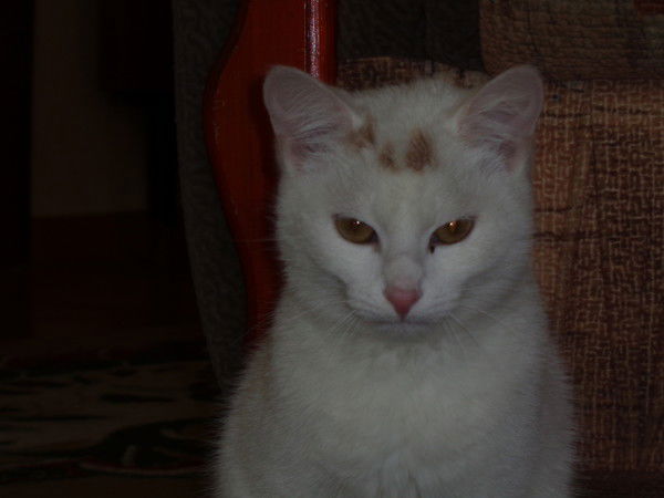 Ринат Идельбаев