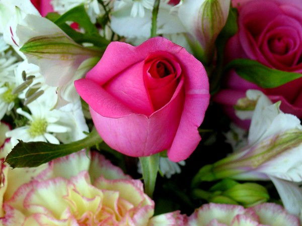 Ирина Брюханова