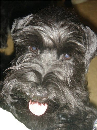 Диана Кириллова