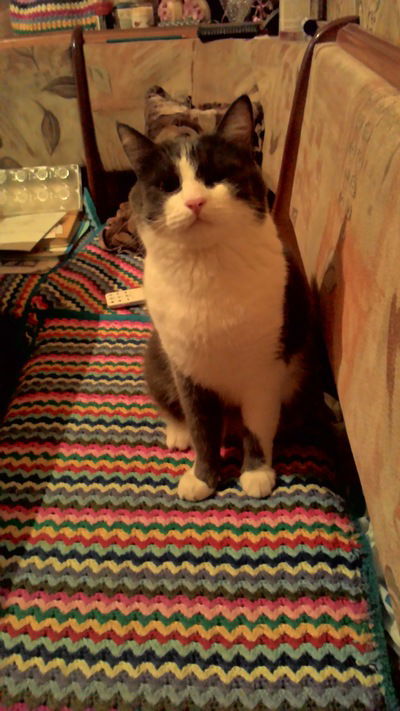 Ангелина Леонтьева