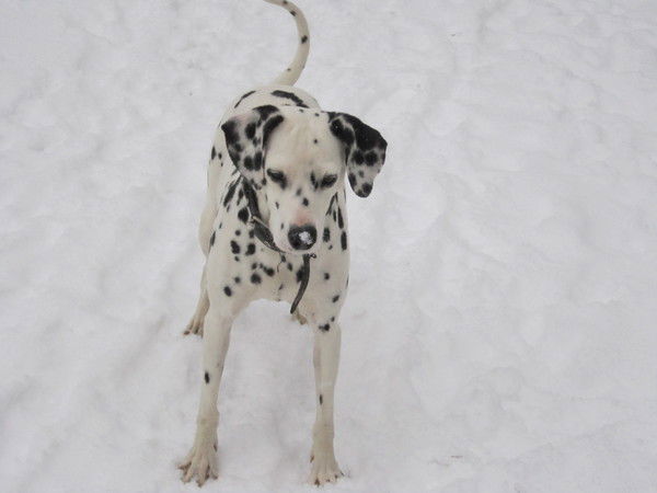 Кристина Мельникова