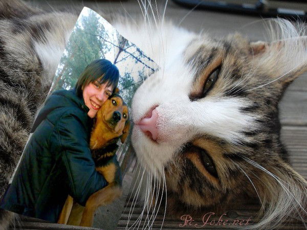 Муренок Мур