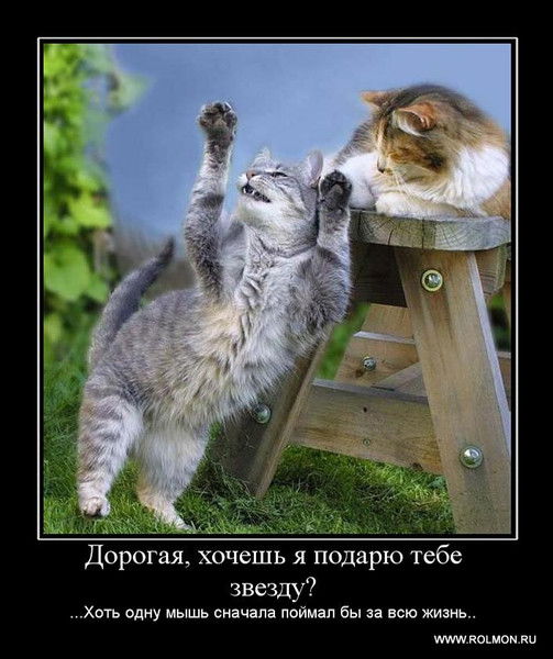 Индира Фаизуллаева