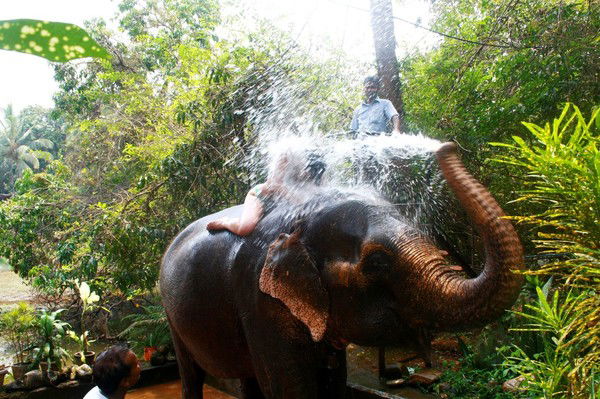 Елизавета Ванина