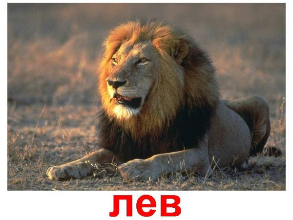 Евгений Жиличев