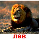 Евгений Жиличев