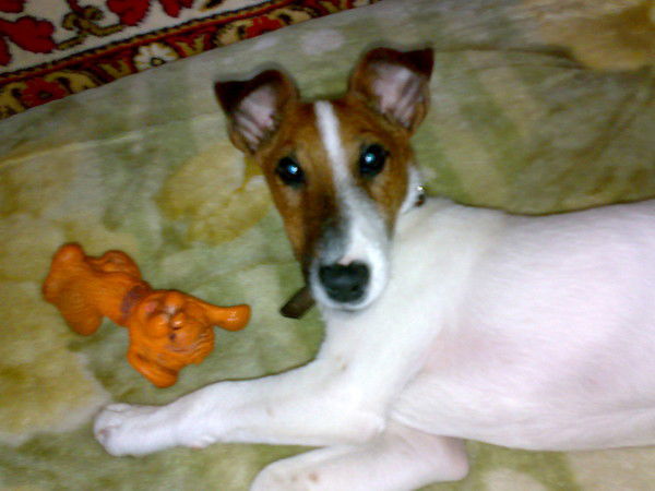 Владимир Бесараб