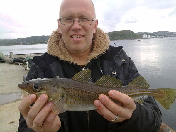 Gintaras Budrevicius