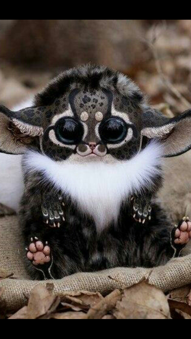 Наталья Лукашина