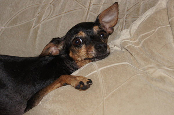 Наталья Маслова