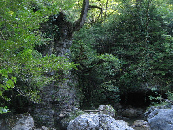 Ирина Сосницкая