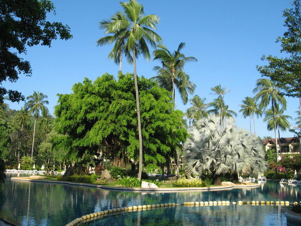 Щелково Щелково