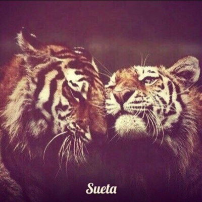 Андрей Шишковский