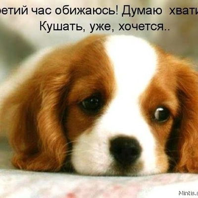 Алексей Либерман