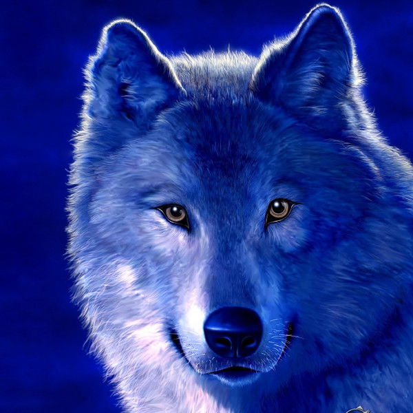 Никита Ожегин