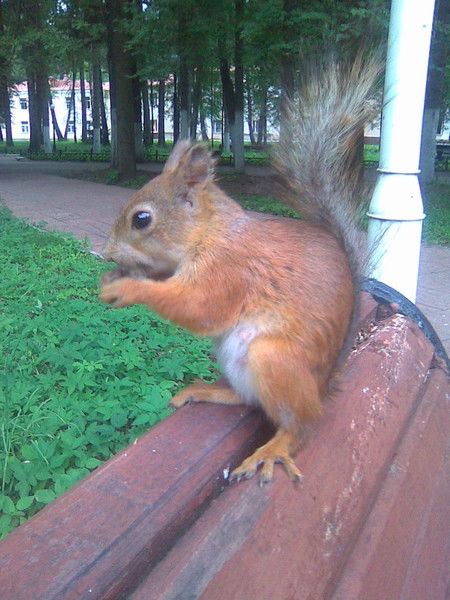 Надежда Краишкина