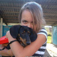 Полина Шейкина