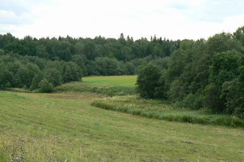 Слава Горбарский