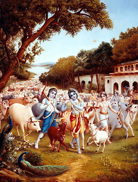 Динара Ахметжан