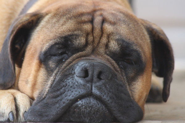 Людмила Демёхина