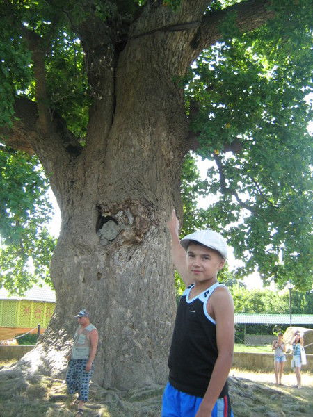 Ильнур Замалеев