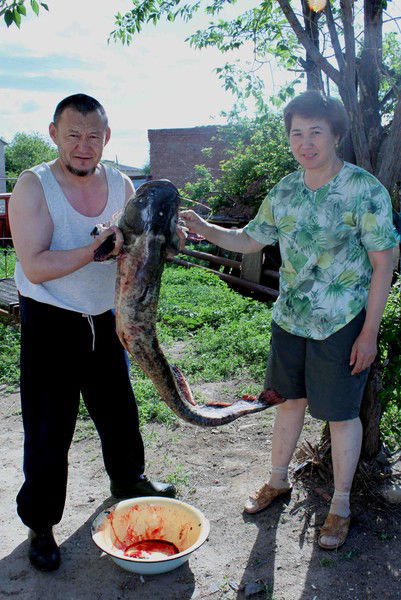 Бакытжан Шаяхметов