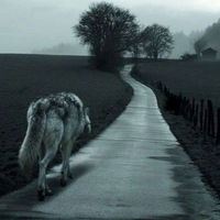 Никита Шерстенников