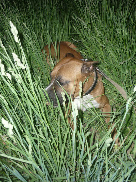 Оксана Ульянкина