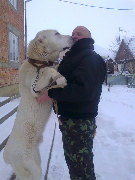 Мирон Ревега