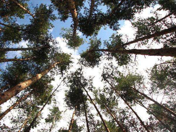 Оля Клеточкина