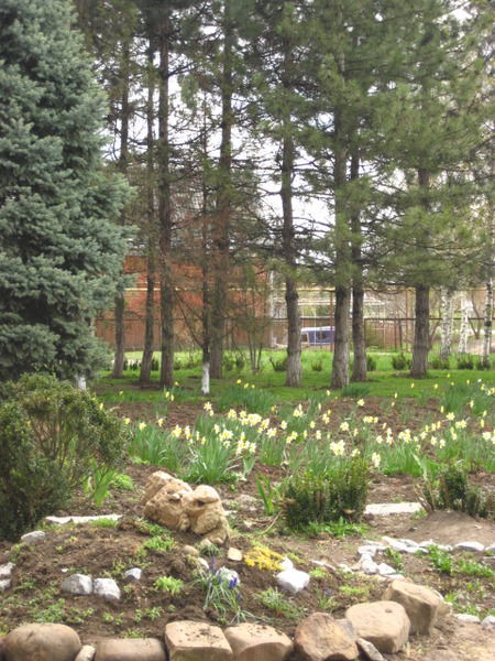 Светлана Нужнова