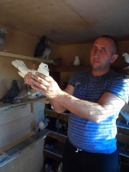 Андрей Забровский