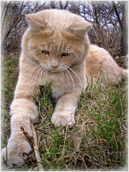 Ирина Федорова