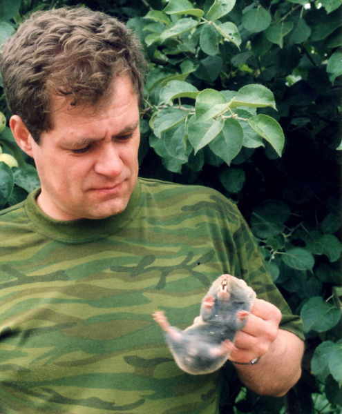 Виорел Иову