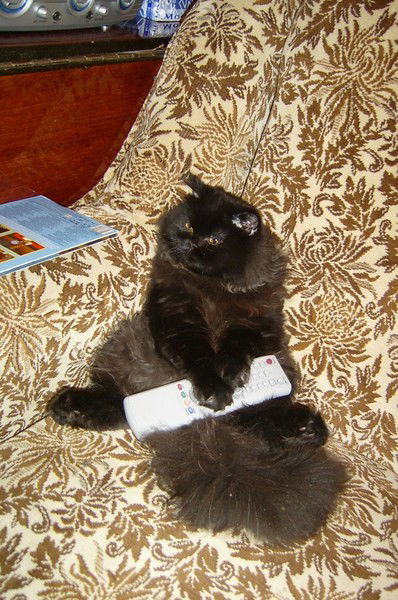 Маргарита Кармадонова