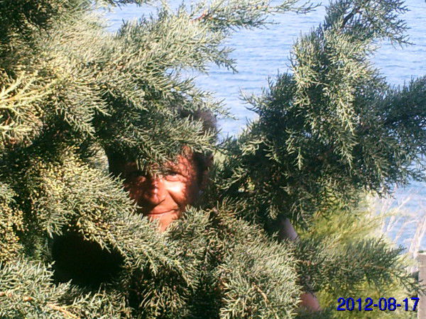 Сергей Ткачев