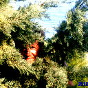 Сергей Ткачев