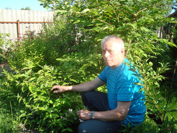 Лев Журавлёв