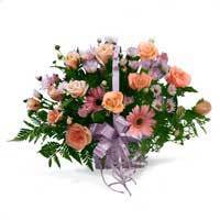 Ольга Кравец