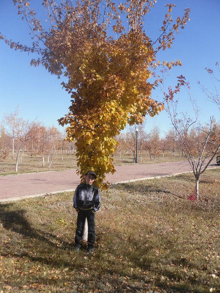 Никита Литвиненко