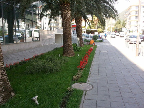 Юля Карпенко