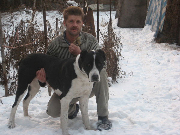 Владимир Владимирович