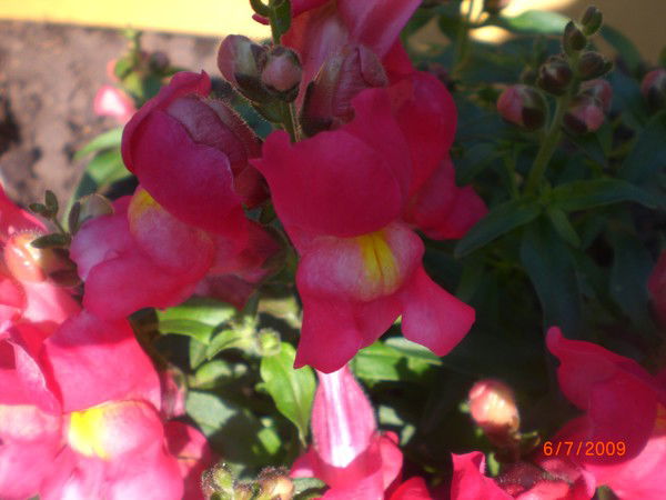 Наталья Вахрушева