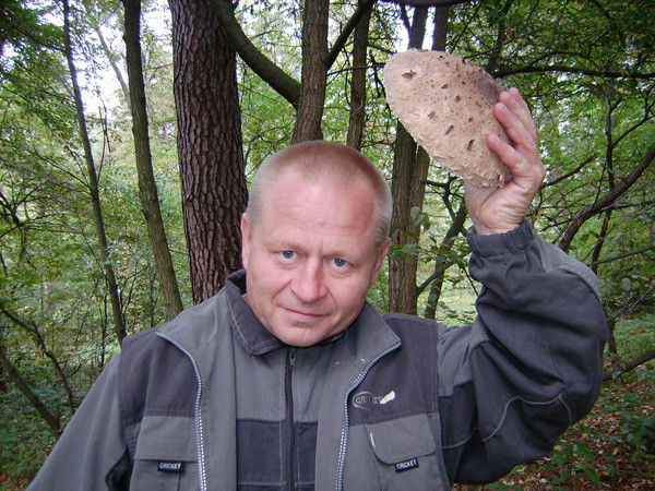 Михаил Герасимов