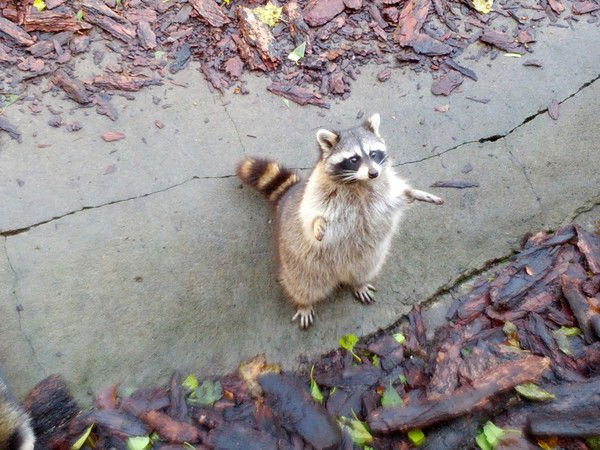 Татьяна Анисимова