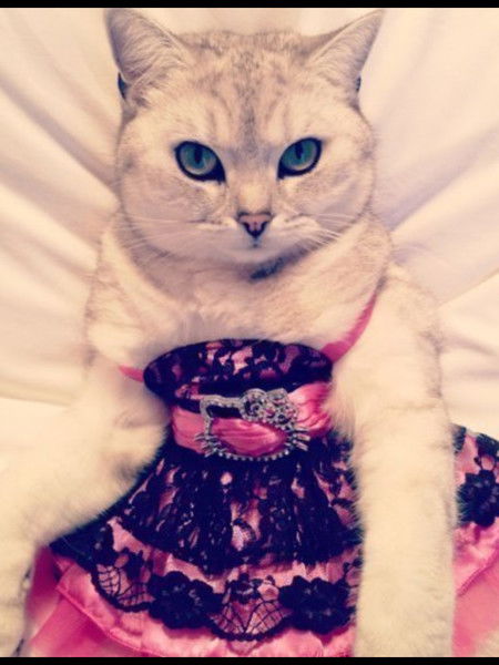 Настя Прекрасная