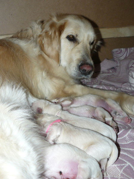 Алёна Пилогеевская